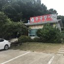 용궁 민물장어 이미지