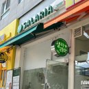 동탄 샐러드/샌드위치 맛집 : 샐러리아 동탄센트럴파크점 (야채샐러드/햄치즈에그샌드위치 후기!)