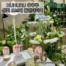 예쁘,지유 | 선물하기 좋은 플랜테리어 후후루 팝업스토어 구매 - M, L 사이즈 비교