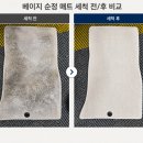 ✨도안동 스팀세차 맛집 제네시스 G70 베이지 시트 디테일링 스팀세차 후기