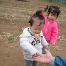 칠보농장 이미지