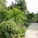 하얀민박 이미지