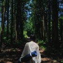 아란야 요가 이미지