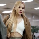 싱그러운 이미지