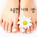 제너지 티스토리