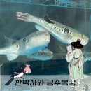 장인복국 | [부산 해운대] 금수복국 본점, 미슐랭 빕구르망의 품격, 까치복국 정식 특선 솔직후기 (웨이팅 꿀팁)