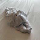 11620-5-14-5 | 싱가포르 크루즈 여행 후기 : 객실 리뷰