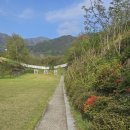 용산정