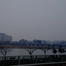 금강교옆 공원 이미지