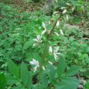 백선농장 이미지