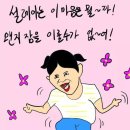 컴페니언펫 이미지