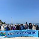 정화 이미지