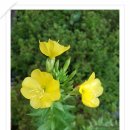 이기대 동생말 이미지