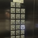 파랑모텔 | 서울여행 숙소) 강남역 양재역 숙소 “신라스테이 서초” 디럭스 더블, 조식, 룸서비스, 근처맛집 추천