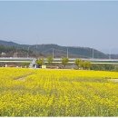 금호강6 이미지