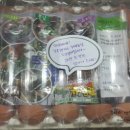 하민농장 이미지