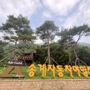 하늘빛계곡 야영장 이미지