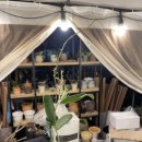 성이농장 이미지