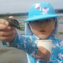 오조리-7 이미지