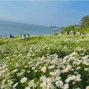 부안여행숙소/ 소노벨변산 호텔&amp;리조트_객실 투숙후기(패밀리 취사룸,부대시설,산책코스.오션플레이)