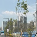 당수 | 우리의 보금자리, 수원 당수 아파트 사전 방문 후기