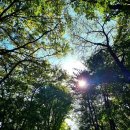 테스터커피 과천갈현점 이미지