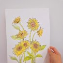 힐링수채화 & 펜드로잉 이미지