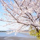 사회복지법인 여수애양병원 이미지