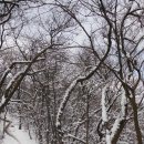 광산구-151 이미지