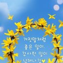 행복하고 기분좋은 하루하루
