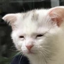 휴젠트 설치 후기 (욕실 환풍기)｜소음↓ 습기↓ 광명 찾은 전후 비교