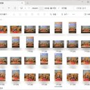 파크애비뉴A | 안양 애니스튜디오 돌사진 후기 촬영 컨셉 원본까지 만족