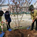 광주효덕초등학교 이미지