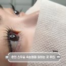67 | 춘천 유지력 좋은 속눈썹펌 맛집 루인 방문후기