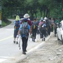 대전문화답사둘레산길7구간(산내초등학교에은어송중학교버스정류장까지) 이미지