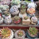 해랑농장 이미지