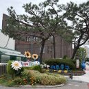 미추홀구청종합민원청사 | [미추홀구청 여권발급] 종합민원청사 / 신한은행 건물 / 두산위브 맞은편