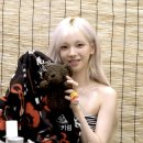 네일버니비