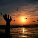 어부마을횟집 이미지