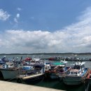 태안호스릴-25 | 12월 서해 태안 겨울 선상 바다낚시 어종 우럭낚시 배낚시체험 추천