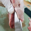 배꼽시개 이미지