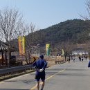 윤도령버섯해물탕,해물찜