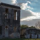 김동우농장 이미지