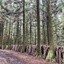 임대길농장 이미지