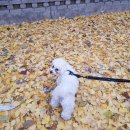 피키이터 이미지