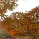 달하노피곰 캡슐호텔 이미지