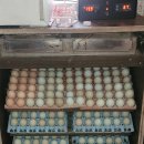 청계슈퍼 이미지