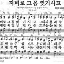 새찬송가 233장 - 자비로 그 몸 찢기시고 이미지