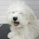 인물나개 네이버블로그