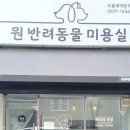 원 반려동물 미용실 | [원반려동물미용실 방문 후기] 갈산동애견미용, 전문성+청결+맞춤 케어 완벽!